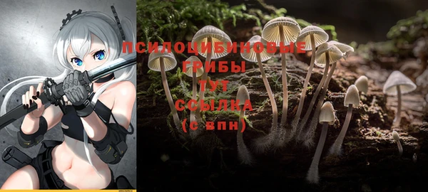 ГАЛЛЮЦИНОГЕННЫЕ ГРИБЫ Дмитров