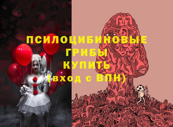бошки Аркадак
