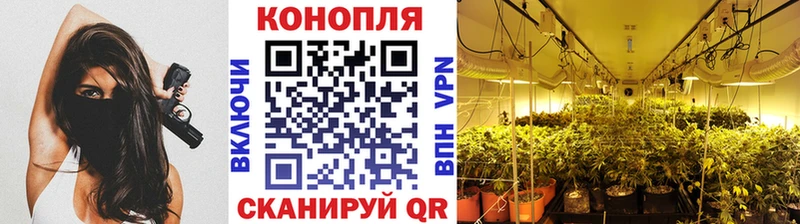 где найти наркотики  OMG ТОР  Бошки Шишки Ganja  Константиновск 